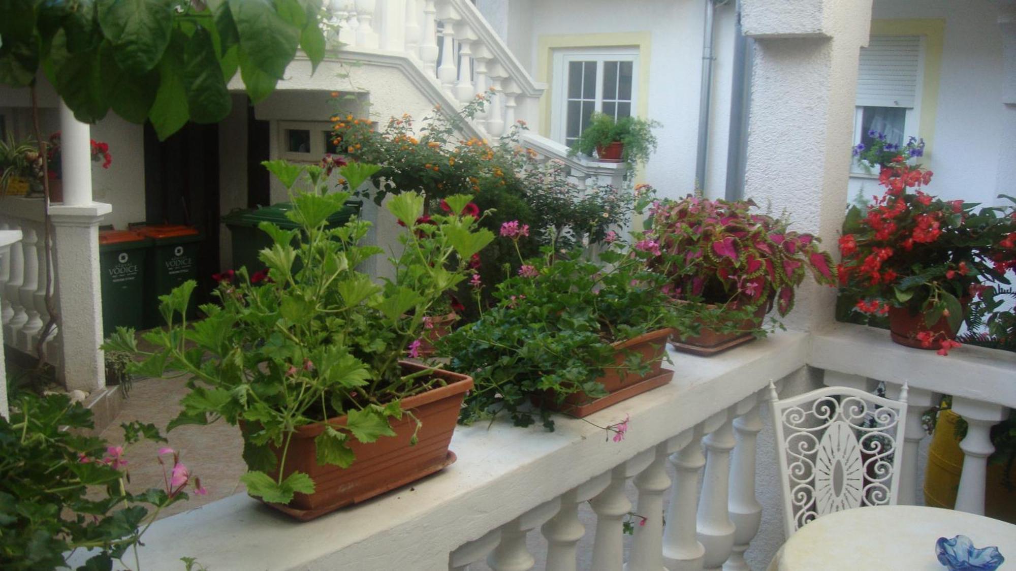 Apartments Vodice Marica Ruang foto